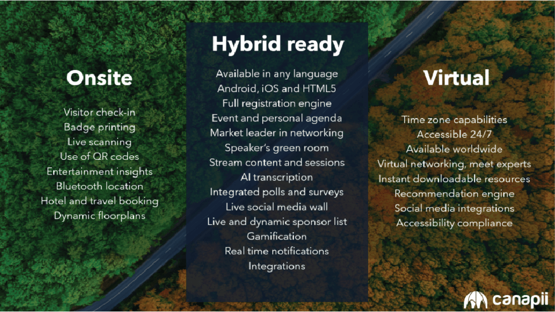 asset 2