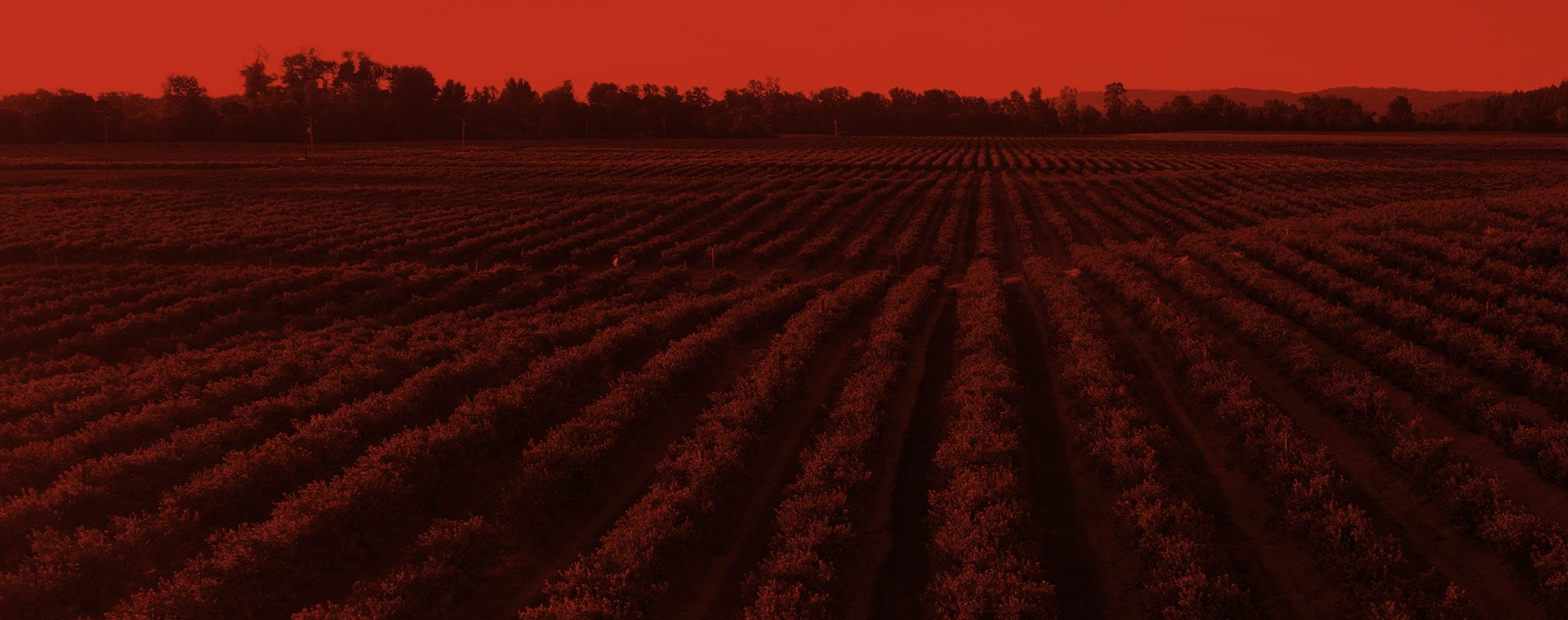 How Farm Management hosted their annual Agriculture event